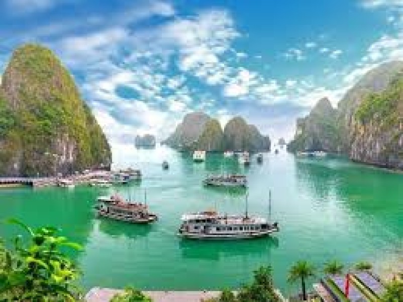 Vietnam Tour